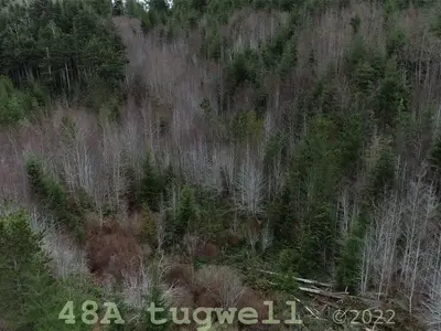 View 57