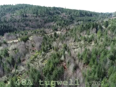 View 77
