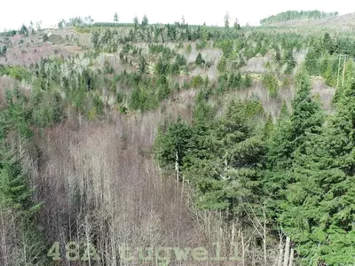 View 90