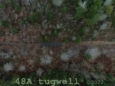 View 73