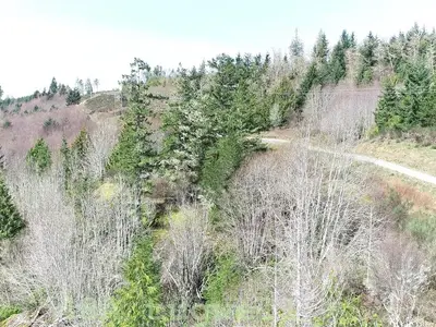 View 94