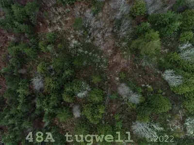 View 67