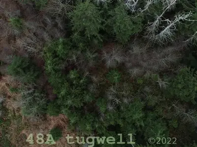 View 63