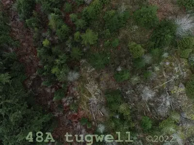 View 66