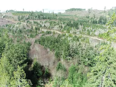 View 84