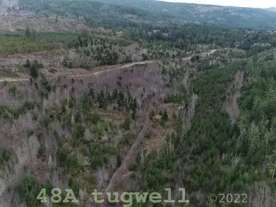 View 32