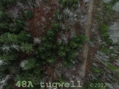View 71