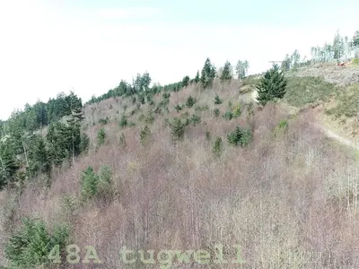 View 96