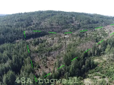 View 5