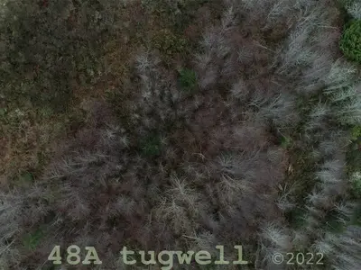 View 75