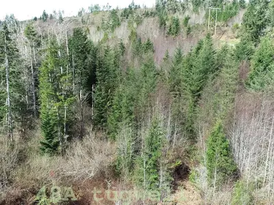 View 92