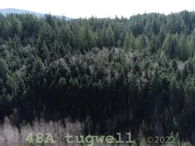 View 79