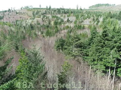 View 89