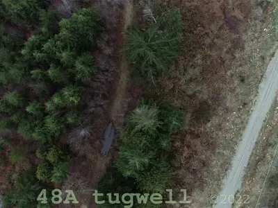 View 69