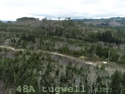 View 61