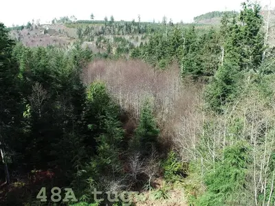 View 86