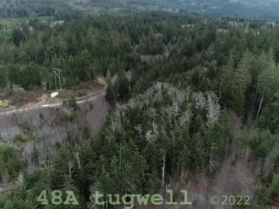 View 38