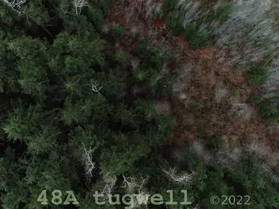 View 65