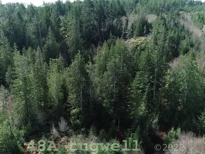 View 82