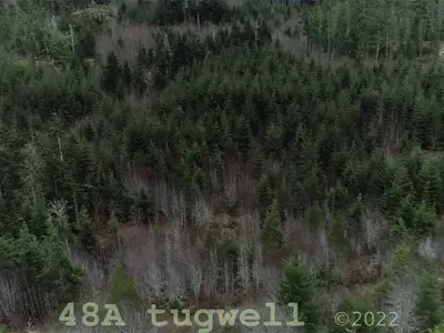 View 49