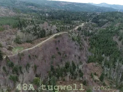 View 33