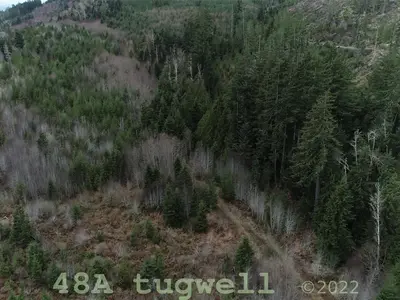 View 41