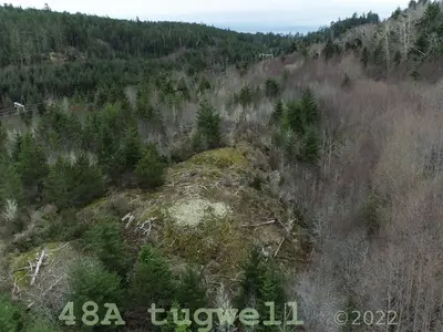 View 45