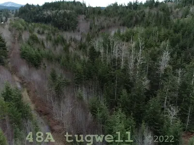 View 51