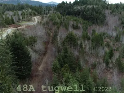 View 55