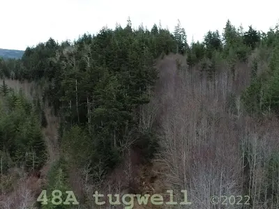 View 59