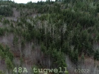 View 50