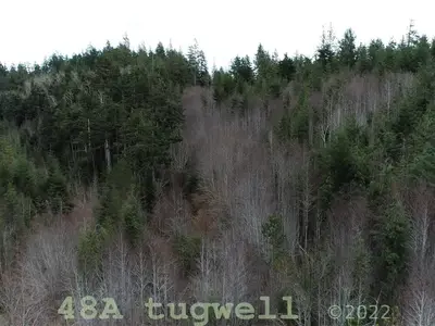 View 58