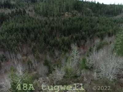 View 48