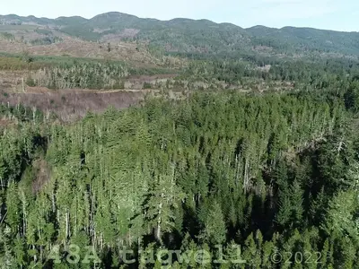 View 11