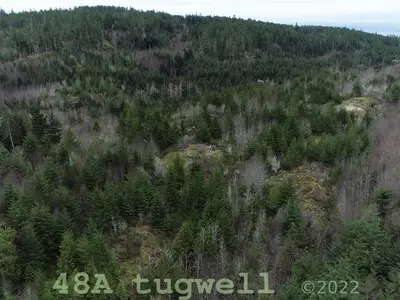 View 44