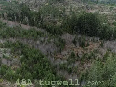 View 40