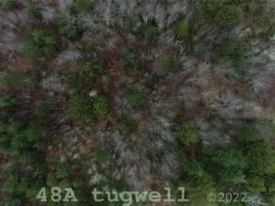 View 68