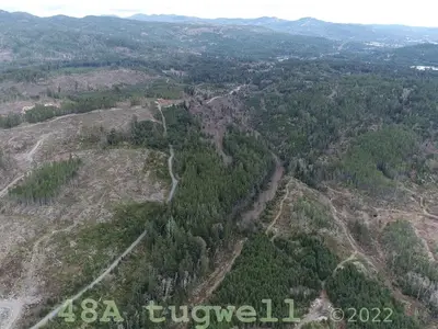 View 31