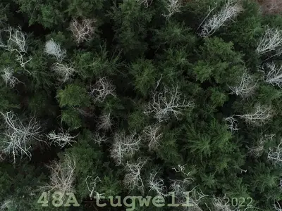 View 64