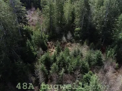 View 83