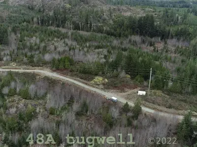 View 39