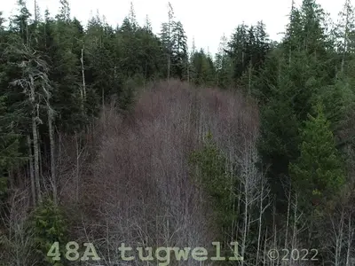 View 60