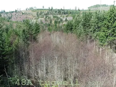 View 87