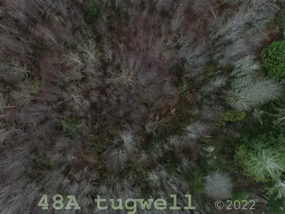 View 74