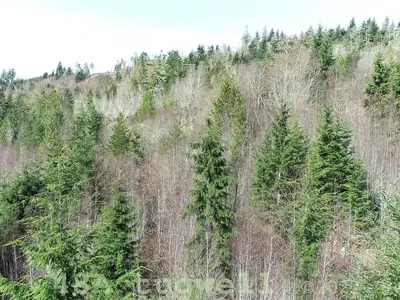 View 93