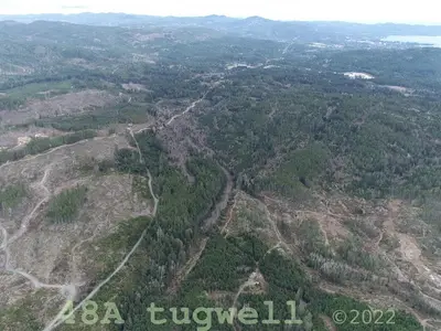 View 29