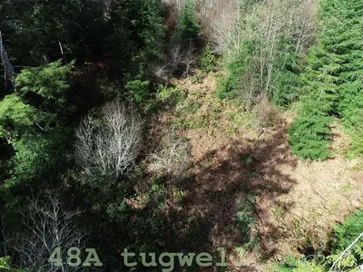 View 85