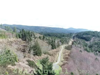 View 97