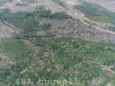View 25
