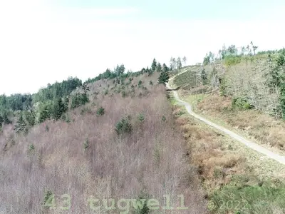 View 99
